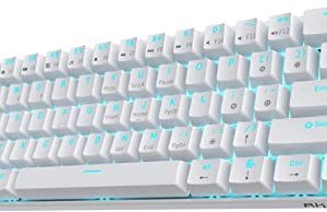 Triple Mode BT5.0/2.4G/USB-C Mechanical Keyboard